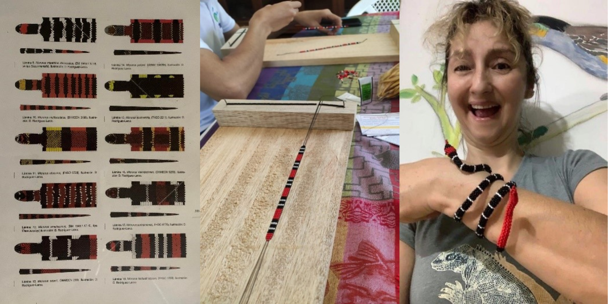 Three Decades of Snakebite Prevention and Research Impact in Ecuador Three Decades of Snakebite Prevention and Research Impact in Ecuador